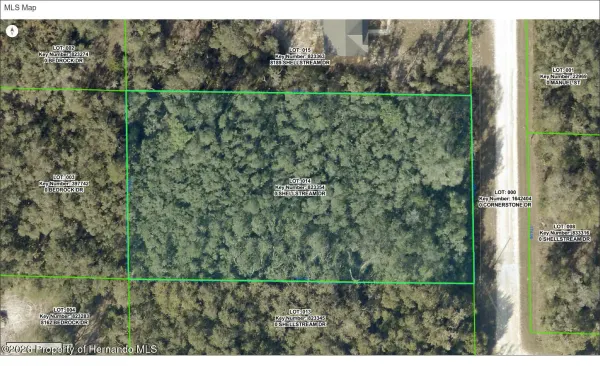 8179 Shellstream Drive, Webster, FL, 33597