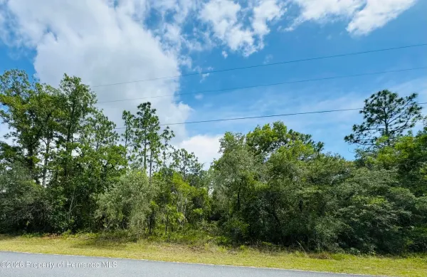 Lot 4 Wood Owl Avenue, Weeki Wachee, FL, 34614