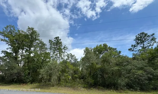 Lot 5 Wood Owl Avenue, Weeki Wachee, FL, 34614