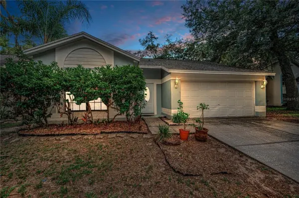 4113 Quail Briar Drive, Valrico, FL, 33596