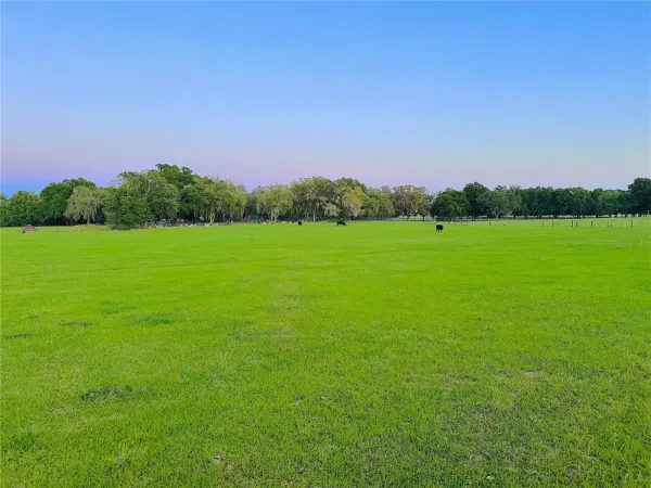 10710 Mcintosh Road, Thonotosassa, FL, 33592