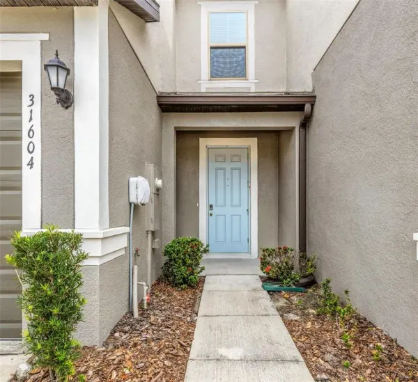31604 Blue Passing Loop, Wesley Chapel, FL, 33545