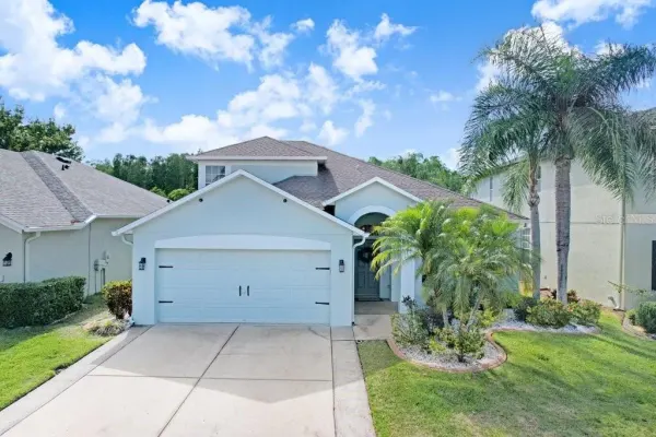 3915 Duke Firth Street, Land O Lakes, FL, 34638