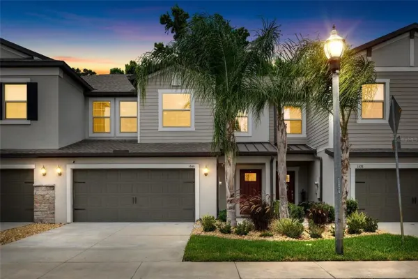1646 Roseville Street, Lutz, FL, 33549