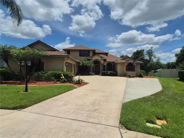 1224 Carriage Park Drive, Valrico, FL, 33594