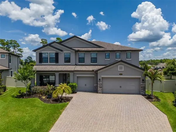 1686 Cherry Walk Road, Lutz, FL, 33558