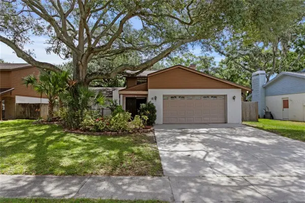 12603 Rain Forest Street, Temple Terrace, FL, 33617