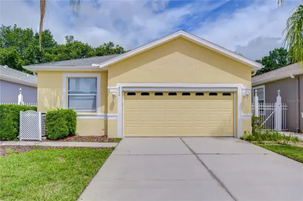 8049 Sanguinelli Road, Land O Lakes, FL, 34637