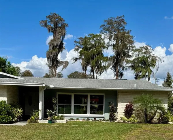17109 Rainbow Terrace, Odessa, FL, 33556