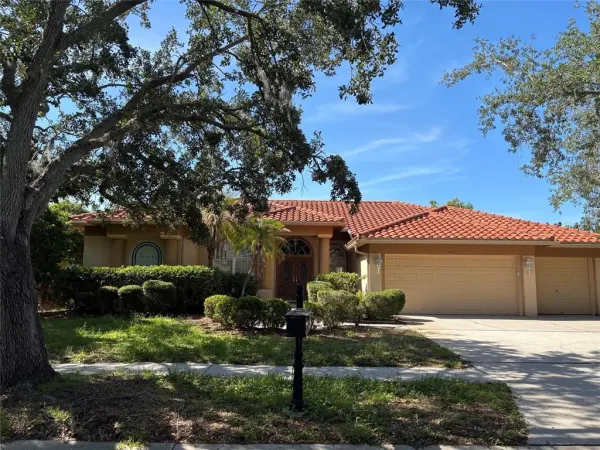 4878 Sherbrook Drive, Oldsmar, FL, 34677