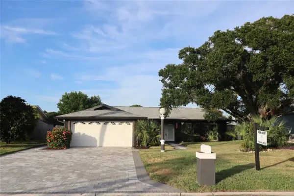 1019 Spindle Palm Way, Apollo Beach, FL, 33572