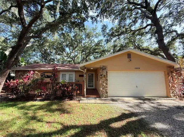 13828 Friendship Lane, Odessa, FL, 33556