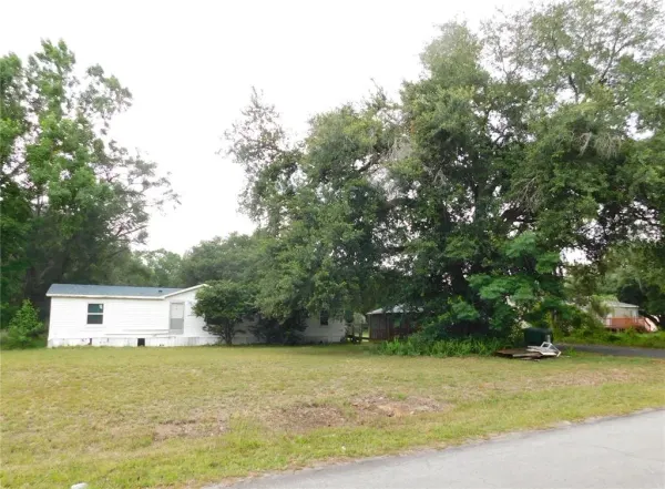 30501 Clearview Drive, Wesley Chapel, FL, 33545