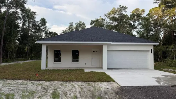 35022 Batesfield Street, Webster, FL, 33597