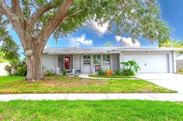 135 Patty Ann Boulevard, Palm Harbor, FL, 34683