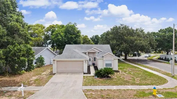 655 Sand Ridge Drive, Valrico, FL, 33594