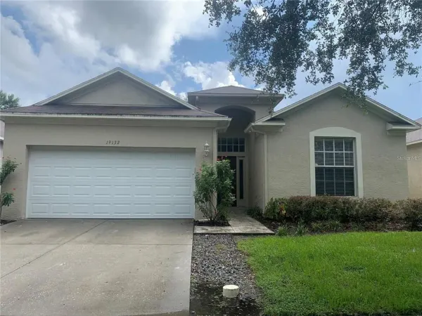 19132 Wood Sage Drive, Tampa, FL, 33647