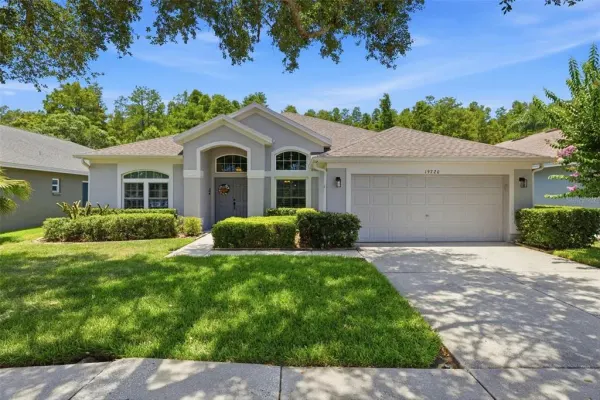 19720 Morden Blush Drive, Lutz, FL, 33558