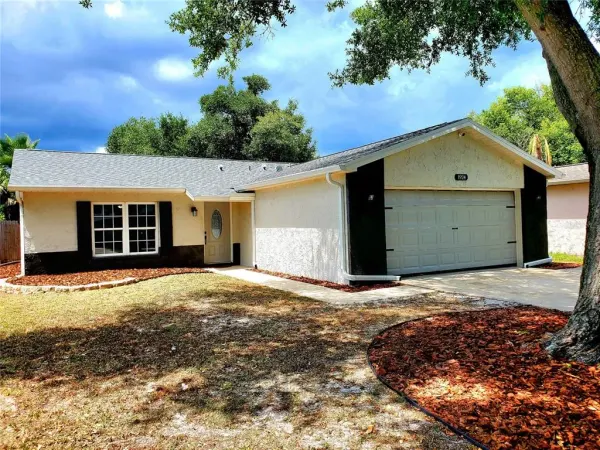 1924 Montego Court, Oldsmar, FL, 34677