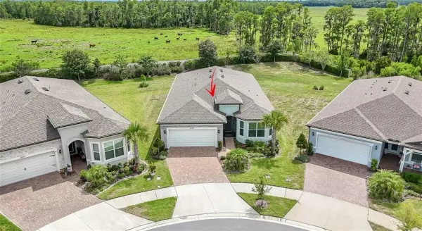 18466 Coastal Shore Terrace, Land O Lakes, FL, 34638