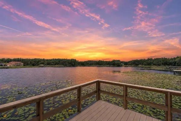 2459 SHOREWOOD LANE, LAND O LAKES, FL, 34639