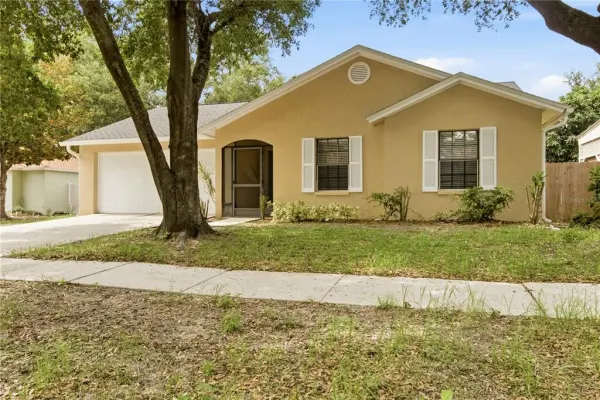 929 Sandywood Drive, Brandon, FL, 33510