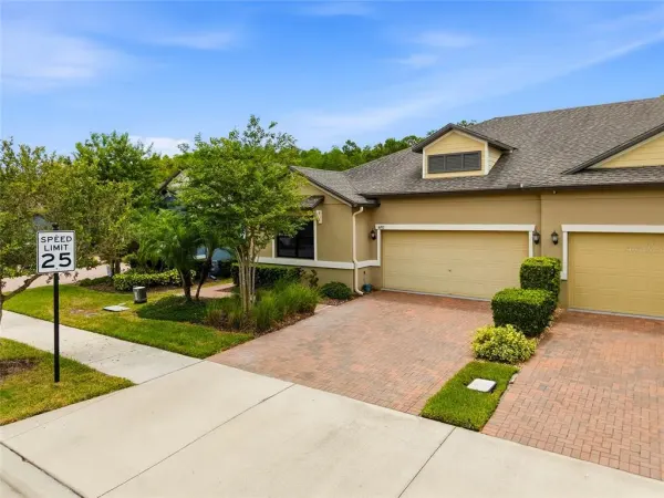 16952 Balance Cove, Land O Lakes, FL, 34638