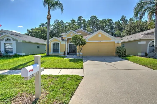30914 Burleigh Drive, Wesley Chapel, FL, 33543