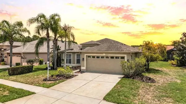 1032 Dustan Place, Trinity, FL, 34655