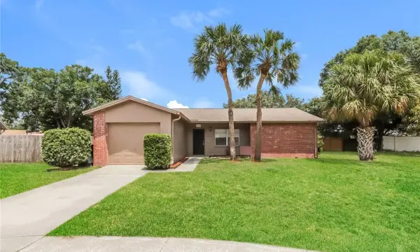 1002 Pinehaven Court, Brandon, FL, 33511