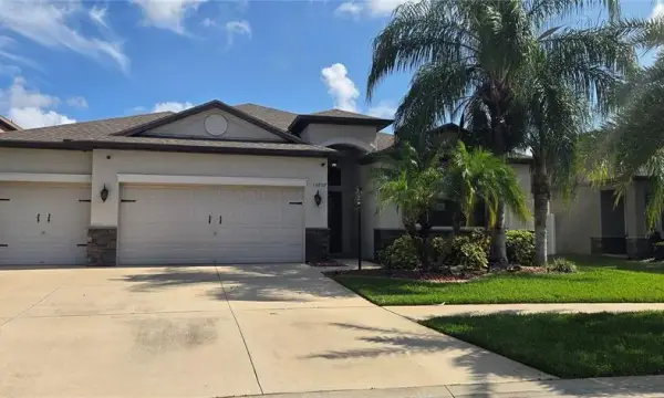13807 Felix Will Road, Riverview, FL, 33579