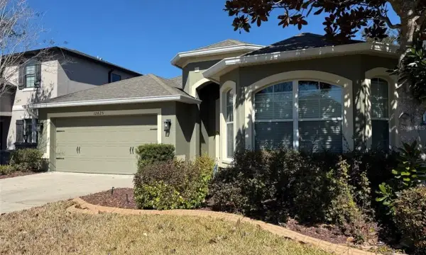 12825 Tikal Way, Trinity, FL, 34655