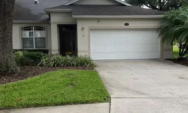 8509 Alexandra Arbor Lane, Tampa, FL, 33637