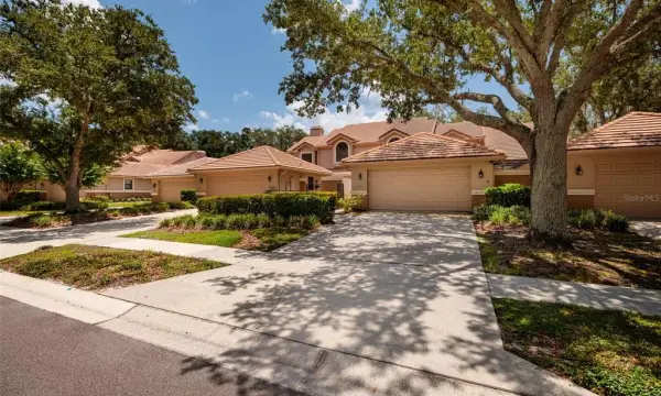17557 Fairmeadow Drive, Tampa, FL, 33647