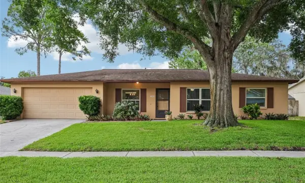 3718 Sand Pebble Drive, Valrico, FL, 33596