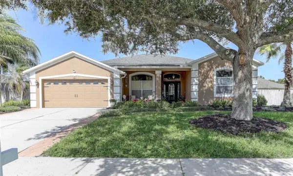 3815 Red Bluff Ct, Land O Lakes, FL, 34639