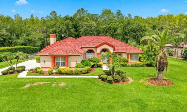 18621 Avenue Capri, Lutz, FL, 33558