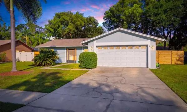 15906 Crying Wind Drive, Tampa, FL, 33624