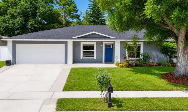 4113 Hollow Hill Dr, Tampa, FL, 33624
