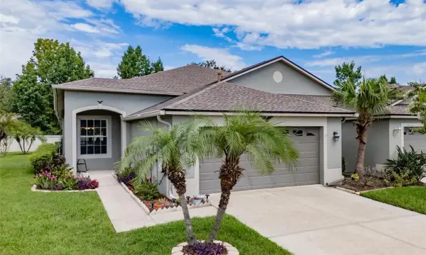 1237 Ambridge Drive, Wesley Chapel, FL, 33543