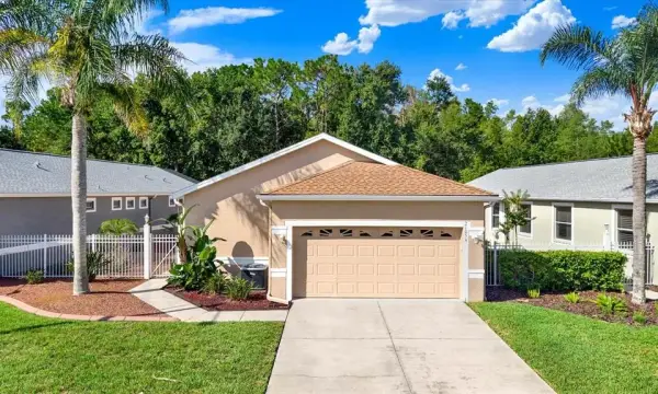 21054 Diamonte Dr, Land O Lakes, FL, 34637