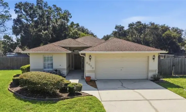 3828 Hollow Oak Place, Land O Lakes, FL, 34639