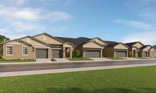 9820 Rye Cobia Drive, Land O Lakes, FL, 34638