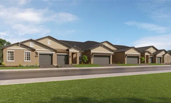 10096 Minnow Ray Drive, Land O Lakes, FL, 34638