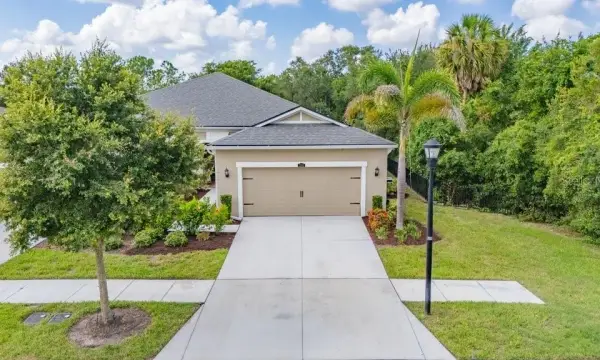 11505 Cambium Crown Drive, Riverview, FL, 33569