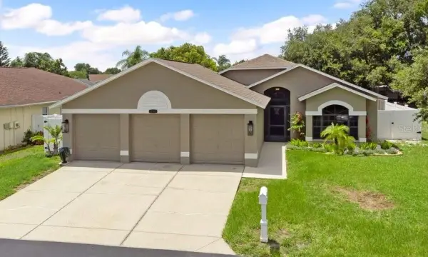 10551 Magrath Lane, New Port Richey, FL, 34654